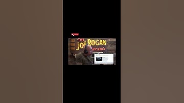 Joe Rogan & Brendan Schaub - Crows are self aware 😱😳  #shorts #joerogan #facts #brendanschaub