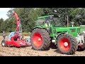 Deutz 13006 - DX 6.50 - 7006 - Maishäckseln 2019 (Sound) !!!