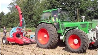 Deutz 13006 - DX 6.50 - 7006 - Maishäckseln 2019 (Sound) !!!