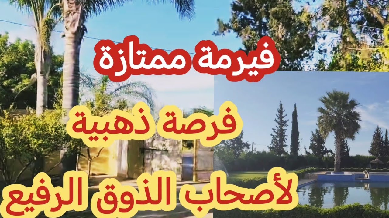 🗣️📢فيرمة كتحمق لأصحاب الذوق الرفيع ولي ماشرا يتنزه😊