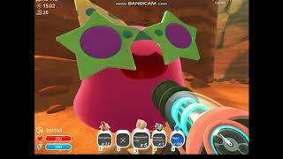 Slime rancher гордо-тусовщик 12-14 октября в сухом рифе