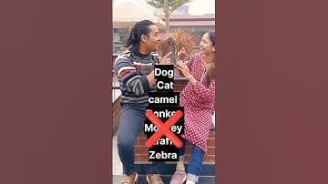 Animals name - Memory challenge //🤗// #shorts // FForFun