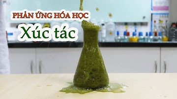 Thí Nghiệm về xúc tác trong Phản Ứng Hóa Học 🧪 Mr. Skeleton 📚