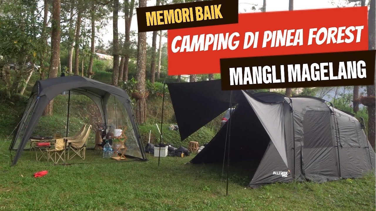 Memori Baik Camping di Pinea Forest Mangli Magelang