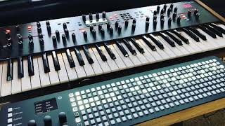 Prophet 12 & Polyend Seq