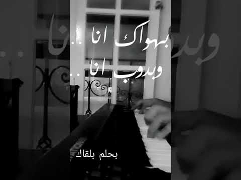 بحلم بلقاك ذكرى أمير يوسف