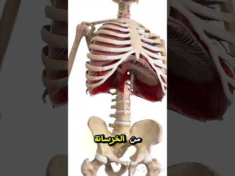 معلومات غريبة عن جسم الانسان تعليم معلومات انسان علم النفس علم علوم ذكاء اصطناعي غرائب