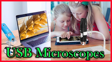 Top 5 Best USB Microscopes In 2021 Review