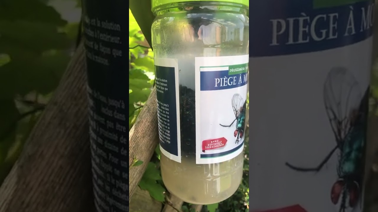 Piège à Moucherons alimentaires, 2 pièges+appât liquide 250ml