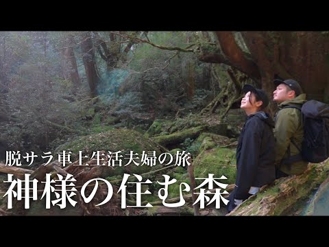 【脱サラ車上生活夫婦】屋久島ジブリの森でトレッキングして、旅の出会いに感謝した１日。