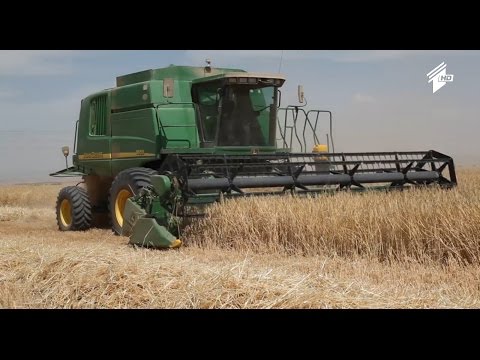 ფერმა - მოსალოდნელია პურის ფქვილის ფასის ზრდა