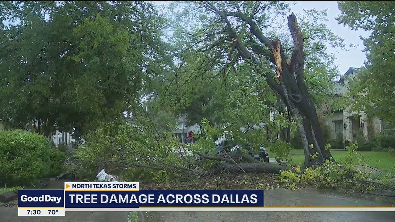 Strong storms leave trail of damage in Dallas, across North Texas