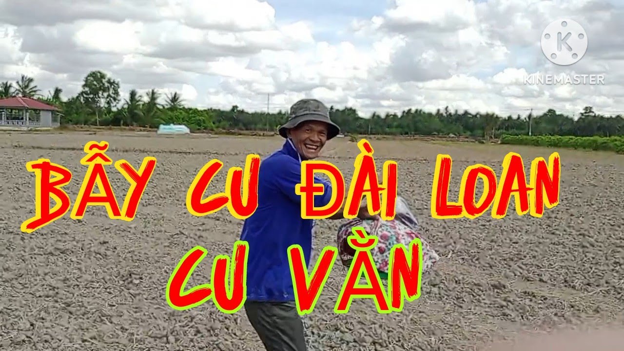 (818)Đi đặt bẫy cu vằn /cu đài Loan/cu ngói bằng lưới sập #giaitrimientay68