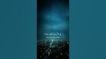 أرح سمعك🤍- سورة آل عمران -