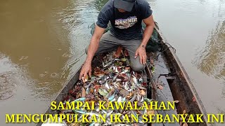 Ribuan Ikan Terperangkap Dengan Cara Unik Ii Nelayan Traditional