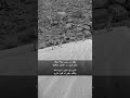 يقول من جرب بحاله وماله حتى شرب مر الزمان وحلاويه
