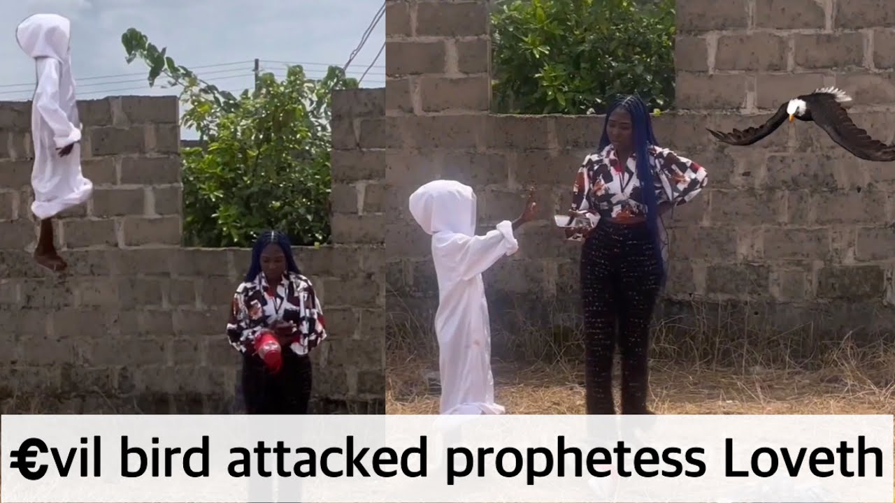 Prophetess Loveth fl£w by air after €vil bird @ttacked her with my picture in their c0ven