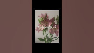 سورة الحج || محمد صديق المنشاوي