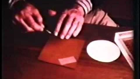 Squid Nerve Cleaning