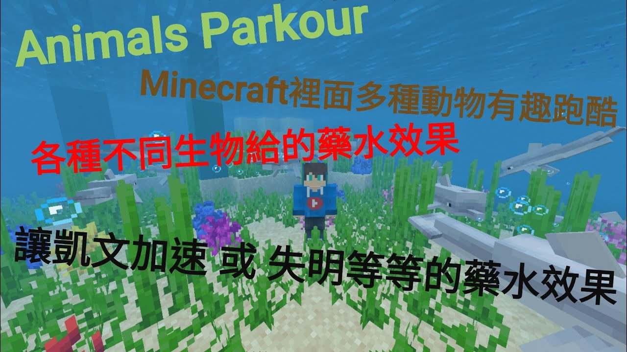 梁凱文 Minecraft 動物跑酷animals Parkour 各種生物有不同的藥水效果 非常多可愛的動物 像是海豚還有呆呆的豬 Youtube