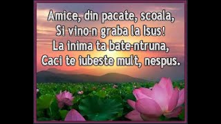 Amice, din pacate, scoala - Negativ