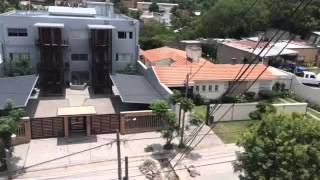 ¿Por qué los pirpintos invadieron la ciudad?