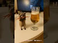 역시 날 챙겨주는 건 꾸리뿐🫶 오징어 안주까지 완벽🐾✨ #꾸리 #귀여운너구리 #MiniRaccoon #FunnyAnimals #Shorts #귀여움폭발 #CuteAnimals
