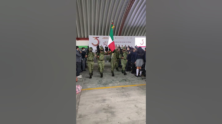 # militares portando bandera de México