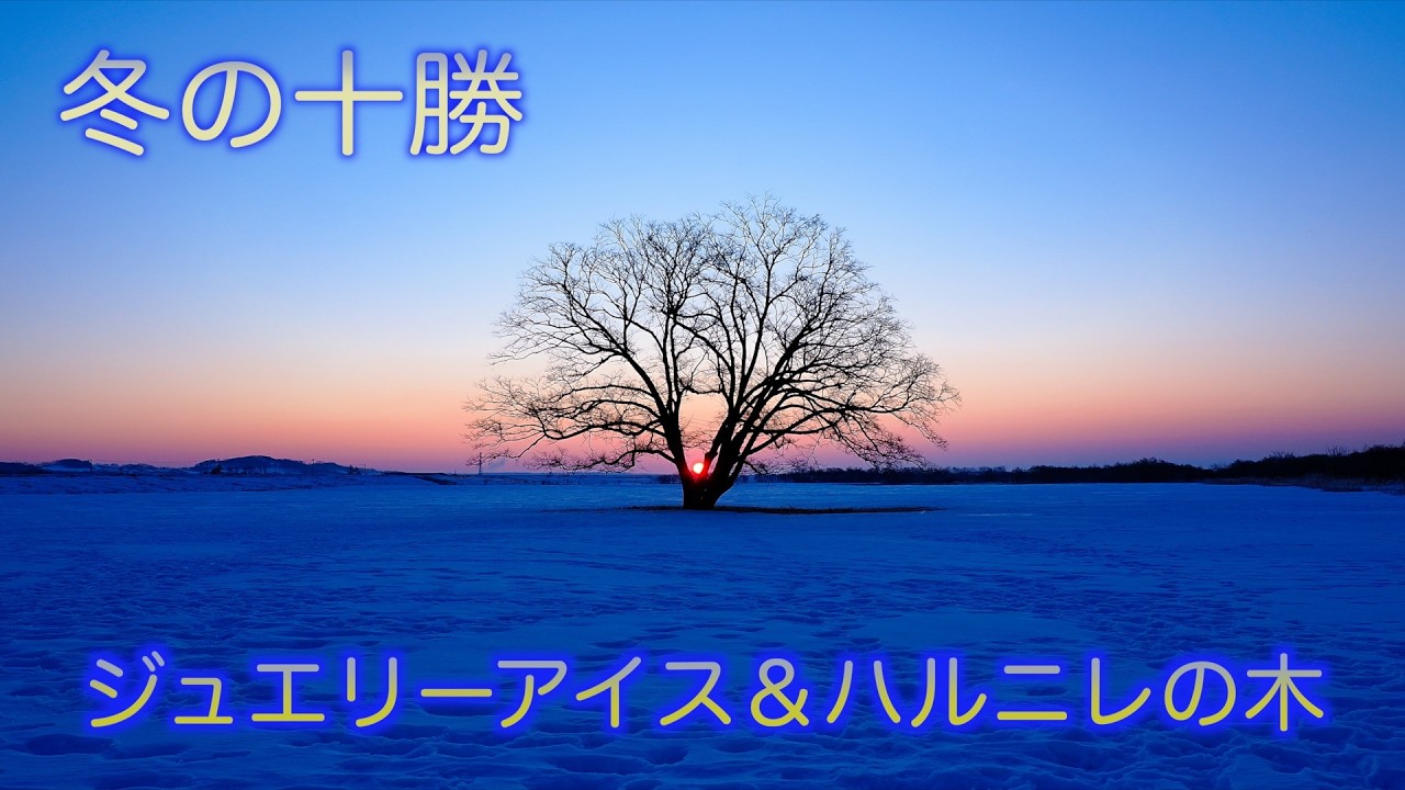 十勝エリアをめぐる旅～2026冬編～