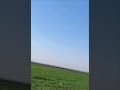 Des missiles iraniens qui se dirigent vers Israël.