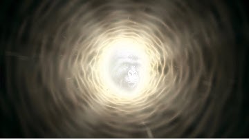 There is no need to be upset... [HD]