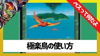 【デュエマ】自分は極楽、相手は地獄！？初心者でもわかる「極楽鳥」の使い方【ゆっくり実況】