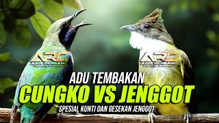 MASTERAN CUGKO ISIAN KUNTI VS CUCA JENGGOT GACOR KONSLET ADU TEMBAKAN | AUDIO JERNIH