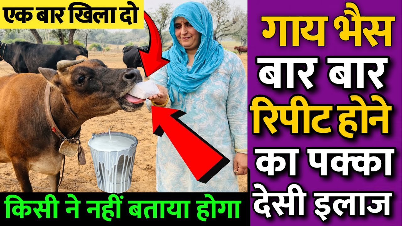 कीसी ने नही