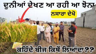 ਦੁਨੀਆਂ ਪੁੱਛ ਕੇ ਜਾਂਦੀ ਆ,, ਬਾਈ ਬੀਜ ਕਿਥੋਂ ਲਿਆਂਦਾ,, ਨਸਾਰਾ ਦੇਖੋ ਝੋਨੇ ਦਾ