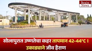 Solapur Heatwave Alert | सोलापुरात उष्णतेचा कहर तापमान 42-44°C । उकाड्याने जीव हैराण..
