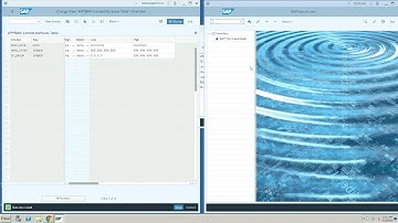 SAP Security Controls: Using Appsian for SAP Dynamic Authorization | Context-Aware Access Controls