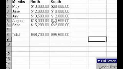 Microsoft Office Excel 2000 Viewing Spreadsheets Full Screen