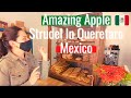 QUERETARO MEXICO/ What Is Centro Historico Like In Santiago de Queretaro?