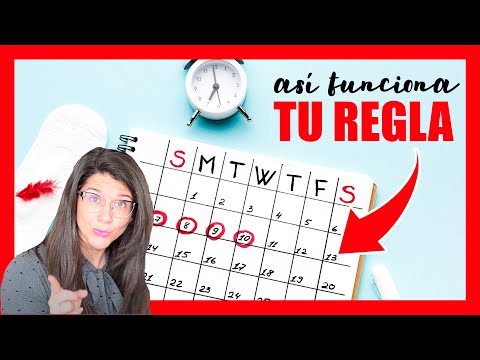 cómo-funciona-el-ciclo-menstrual-|-la-regla-|-la-menstruacion