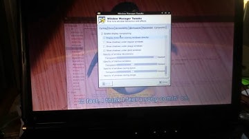 Debian video wallpaper