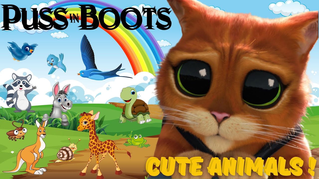 PUSS IN BOOTS KNOWS CUTE LITTLE ANIMALS - LION, TOUCAN, CAT, DOG, MONKEY,  OWL | ANIMAL MOMENTS. - YouTube