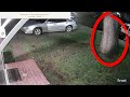 Security cam captures exact moment tree smashes house