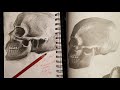 Realistic Skull Drawing in Charcoal Pencil: Quick Portrait Painting tip