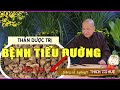 CHỮA TIỂU ĐƯỜNG, TIÊU MỠ MÁU, HẠ MEN GAN - Đơn Giản và Hiệu Quả. Lương Y Thích Trí Huệ