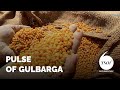 Pulse of gulbarga  tsoi documentary