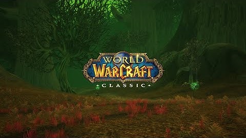 How to fight vs idiots? Druid vs naxx mage escaper (WoW Classic Druid PvP)