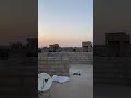 مدينة القورية في ريف دير الزور الشرقي شامية