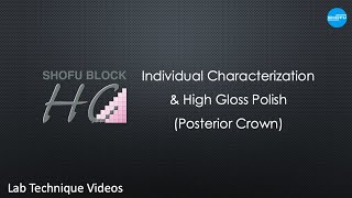Individual Characterization & High Gloss Polish (Posterior Crown)