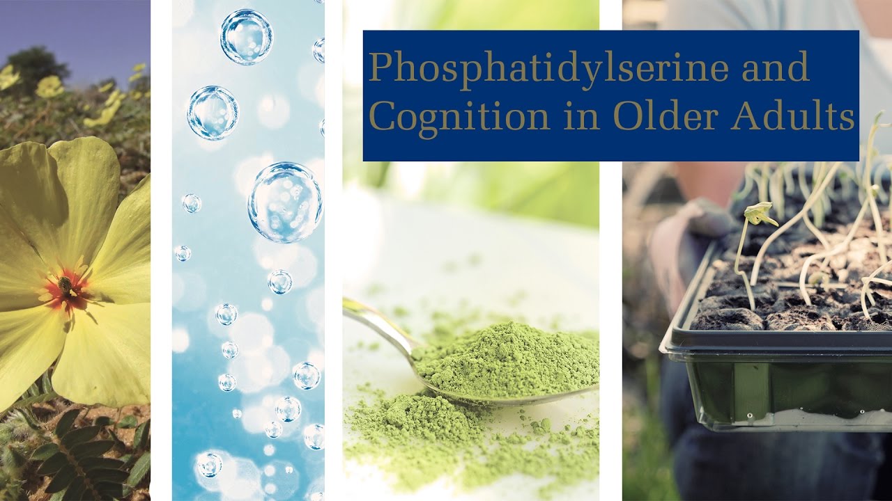 Phosphatidylserine and Cognition in Older Adults - YouTube